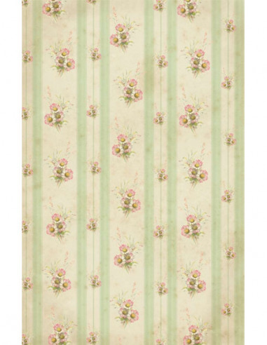 SET 5 PAPELES ADHESIVOS A4 21X29,7...