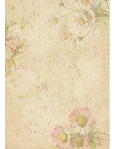 SET 5 PAPELES ADHESIVOS A4 21X29,7...