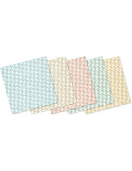 SET 5 PAPELES ADHESIVOS 30,5 X 30,5 CM. SCRAPBOOKING "PICNIC" PSAX0001