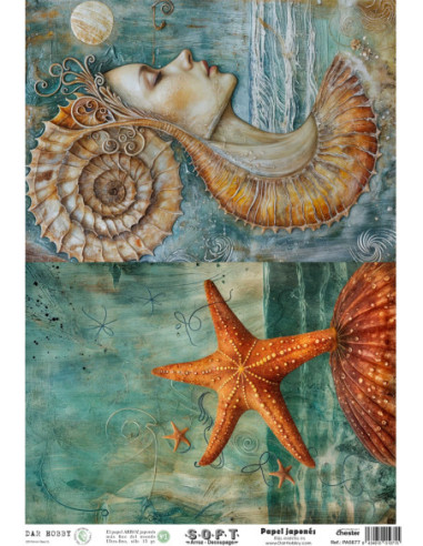 Papel de Arroz Soft 30x41cm....
